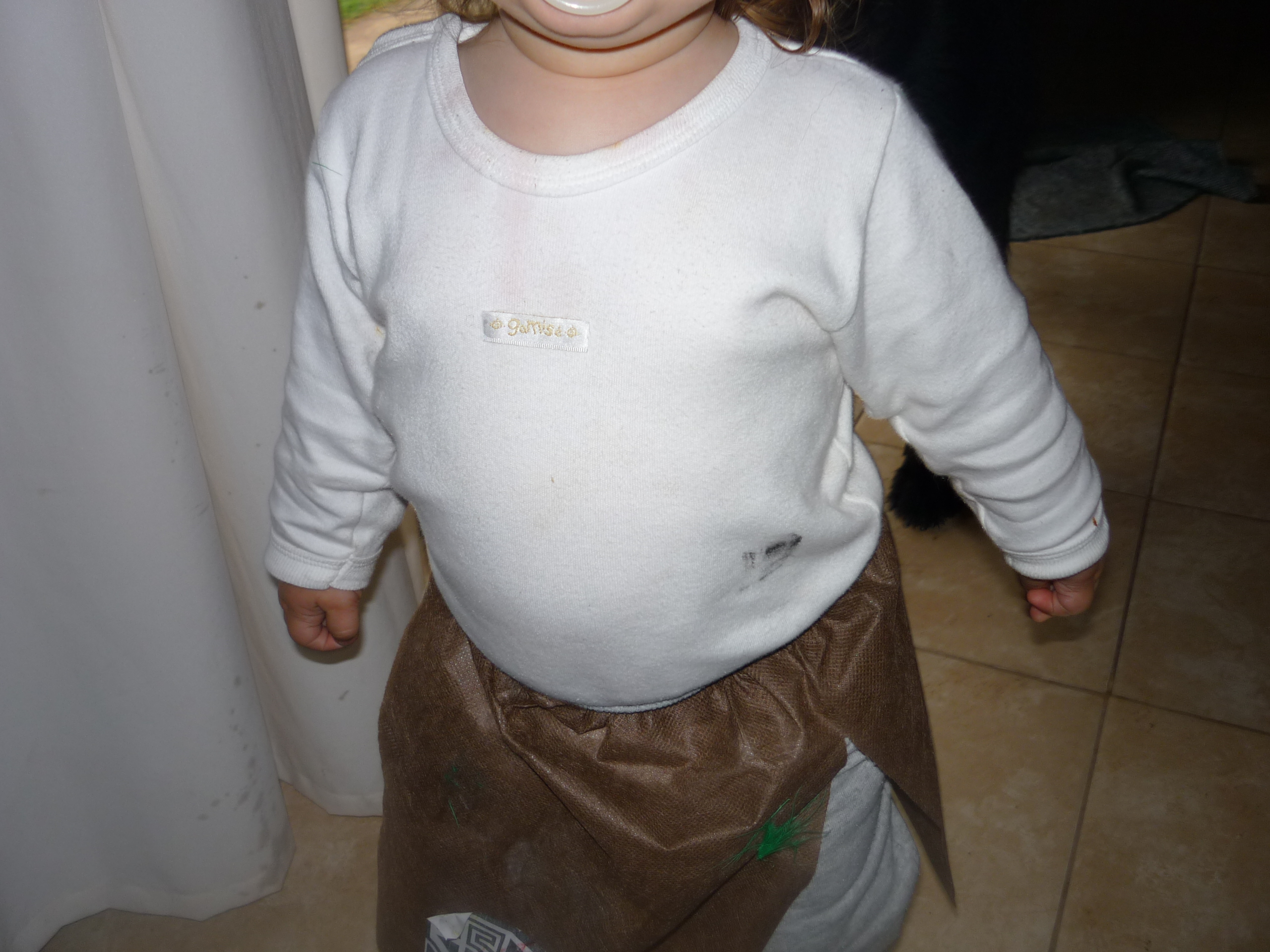 fotos/2011-10-10 - Iara indiecita, cena chiquilo/P1020302.JPG